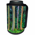 3dRose Danita Delimont - Trees - USA, Hawaii, Maui, Rainbow Eucalyptus Trees, Eucalyptus deglupta - Can Cooler Bottle Wrap (cc_259258)