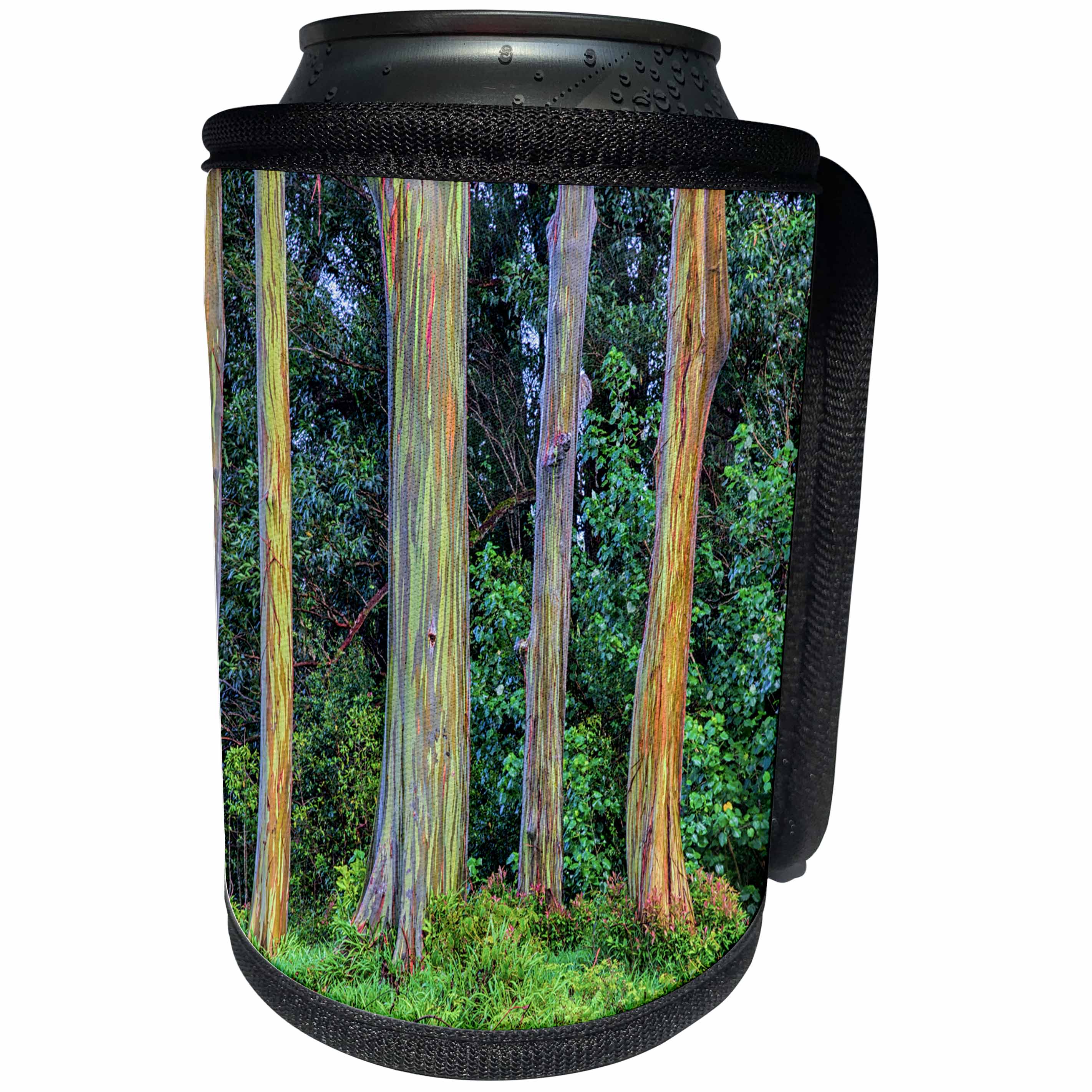 3dRose Danita Delimont - Trees - USA, Hawaii, Maui, Rainbow Eucalyptus Trees, Eucalyptus deglupta - Can Cooler Bottle Wrap (cc_259258)
