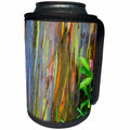 3dRose Danita Delimont - Trees - USA, Hawaii, Maui, Rainbow Eucalyptus Tree bark - Can Cooler Bottle Wrap (cc_259259)