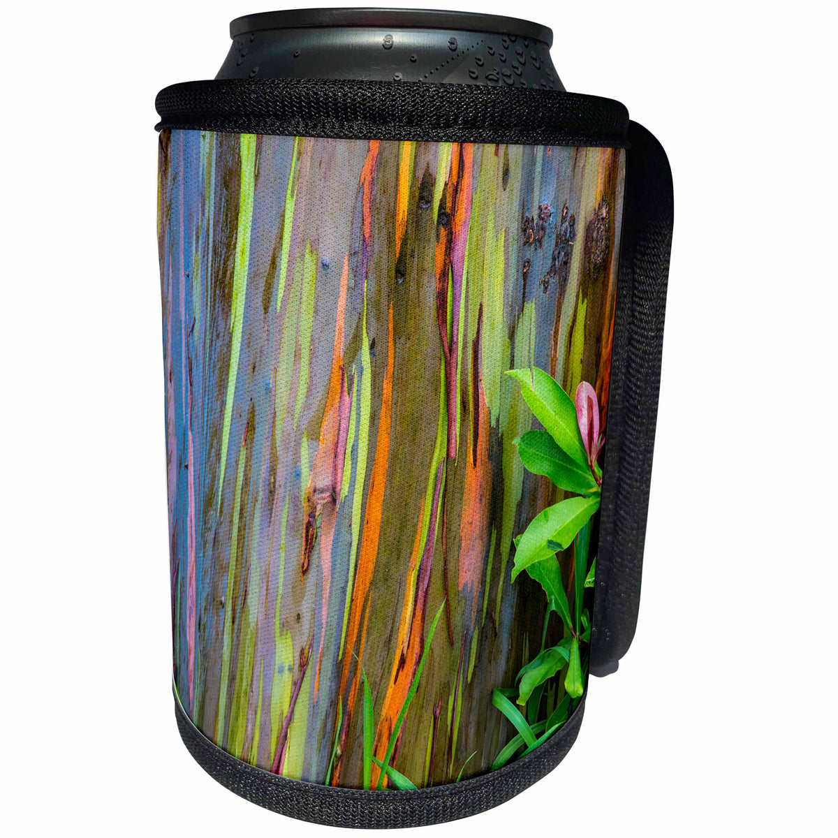 3dRose Danita Delimont - Trees - USA, Hawaii, Maui, Rainbow Eucalyptus Tree bark - Can Cooler Bottle Wrap (cc_259259)