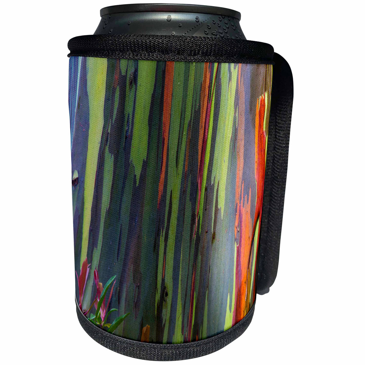 3dRose Danita Delimont - Abstracts - USA, Hawaii, Maui, Colorful Rainbow Eucalyptus Tree bark - Can Cooler Bottle Wrap (cc_259260)