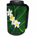 3dRose Danita Delimont - Flowers - USA, Hawaii, Maui, Plumeria in Pattern - Can Cooler Bottle Wrap (cc_259261)