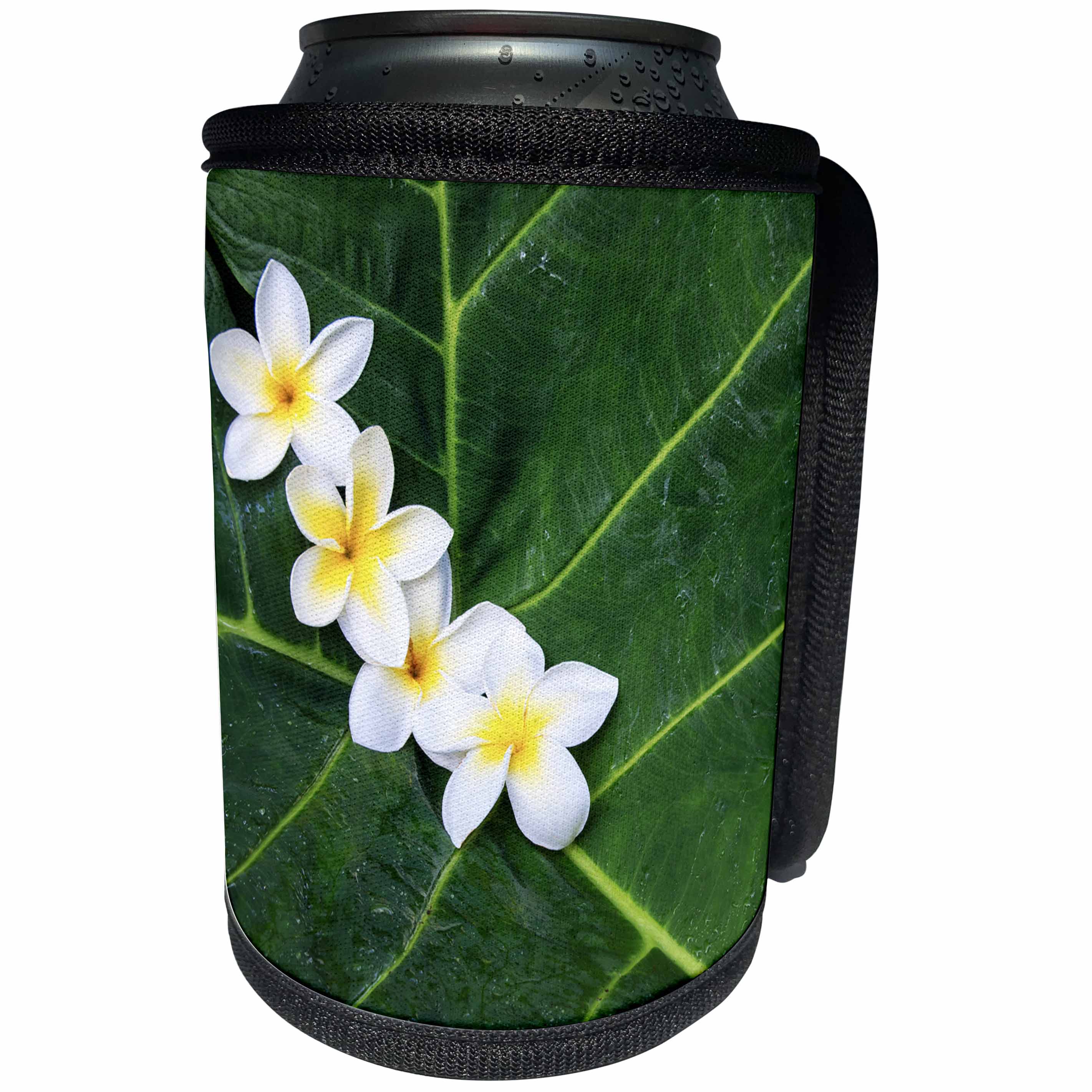 3dRose Danita Delimont - Flowers - USA, Hawaii, Maui, Plumeria in Pattern - Can Cooler Bottle Wrap (cc_259261)