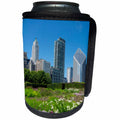 3dRose Danita Delimont - Cities - Millennium Park with Michigan Avenue skyline, Chicago, Illinois - Can Cooler Bottle Wrap (cc_259269)