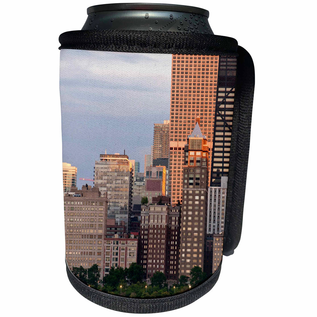 3dRose Danita Delimont - Cities - Chicago skyline from North Avenue Beach at dusk - Can Cooler Bottle Wrap (cc_259271)