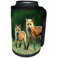 3dRose Danita Delimont - Foxes - Red fox, Vulpes vulpes, adult with kit, Illinois - Can Cooler Bottle Wrap (cc_259275)