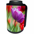 3dRose Danita Delimont - Flowers - Purple and red tulips, Cantigny Park, Wheaton, Illinois - Can Cooler Bottle Wrap (cc_259278)