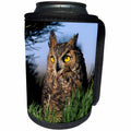 3dRose Danita Delimont - Owls - Great Horned Owl, Bubo virginianus, in pine tree, Colorado - Can Cooler Bottle Wrap (cc_259279)