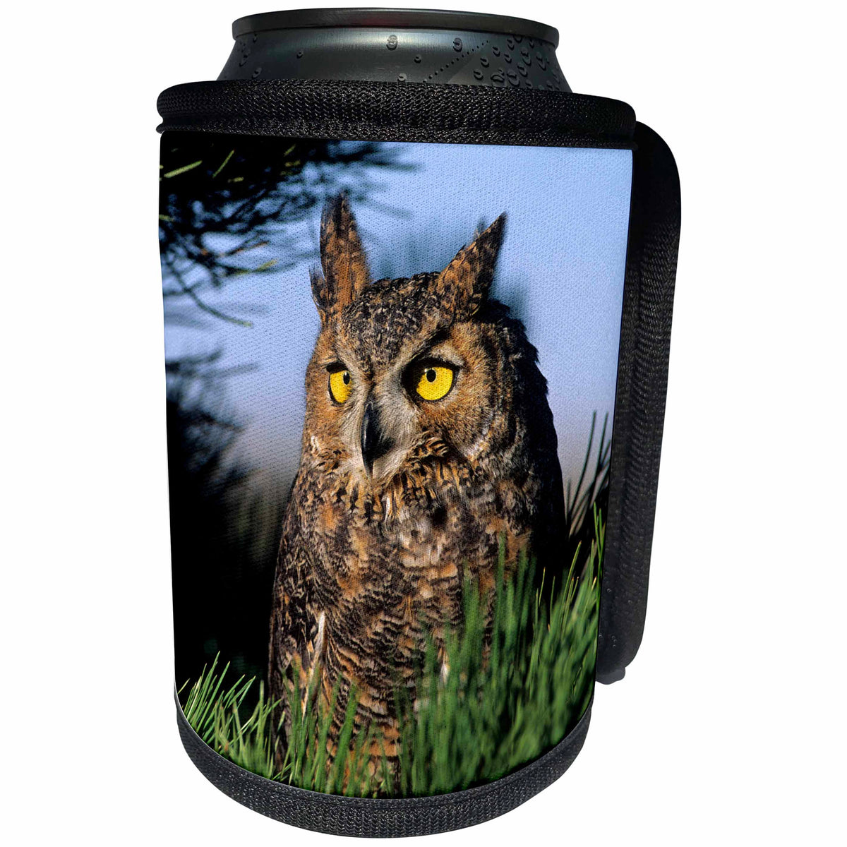 3dRose Danita Delimont - Owls - Great Horned Owl, Bubo virginianus, in pine tree, Colorado - Can Cooler Bottle Wrap (cc_259279)