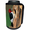 3dRose Danita Delimont - Birds - Red-headed Woodpecker at nest site, Illinois - Can Cooler Bottle Wrap (cc_259284)