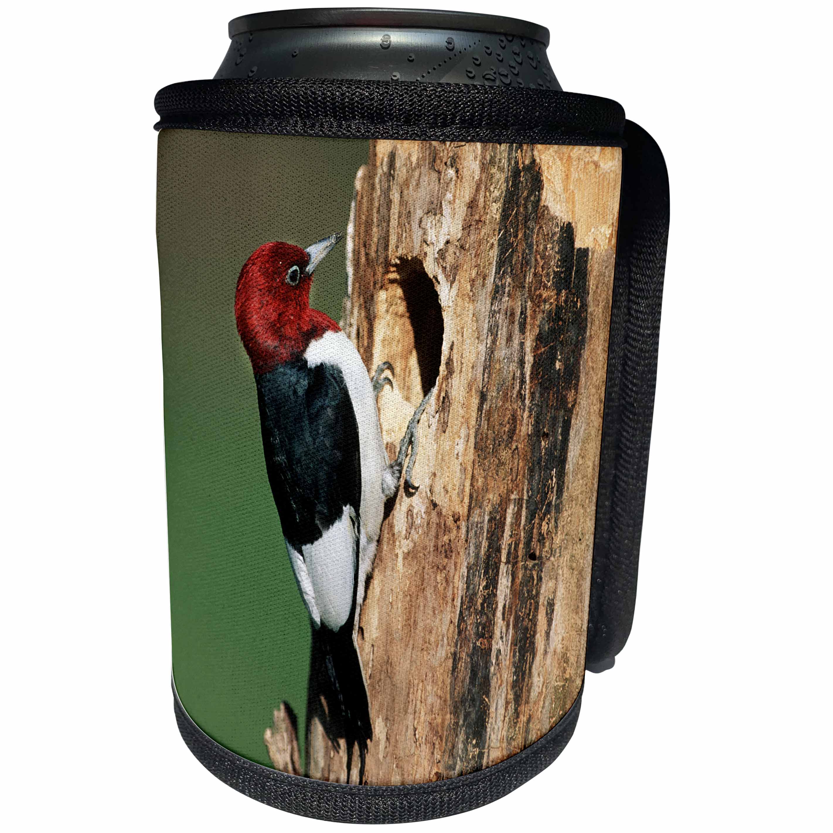 3dRose Danita Delimont - Birds - Red-headed Woodpecker at nest site, Illinois - Can Cooler Bottle Wrap (cc_259284)