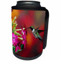 3dRose Danita Delimont - Hummingbirds - Ruby-throated Hummingbird male at Winged tobacco, Illinois - Can Cooler Bottle Wrap (cc_259291)