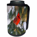 3dRose Danita Delimont - Birds - Northern Cardinal male in a pine tree in winter, Marion Co, Illinois - Can Cooler Bottle Wrap (cc_259301)