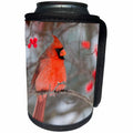 3dRose Danita Delimont - Birds - Northern Cardinal male on Winterberry bush in winter, Illinois - Can Cooler Bottle Wrap (cc_259306)