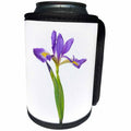 3dRose Danita Delimont - Flowers - Blue Flag Iris, Iris versicolor, with white background, Marion Co., IL - Can Cooler Bottle Wrap (cc_259320)