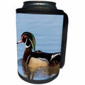 3dRose Danita Delimont - Ducks - Wood Duck male in wetland, Marion County, Illinois - Can Cooler Bottle Wrap (cc_259324)
