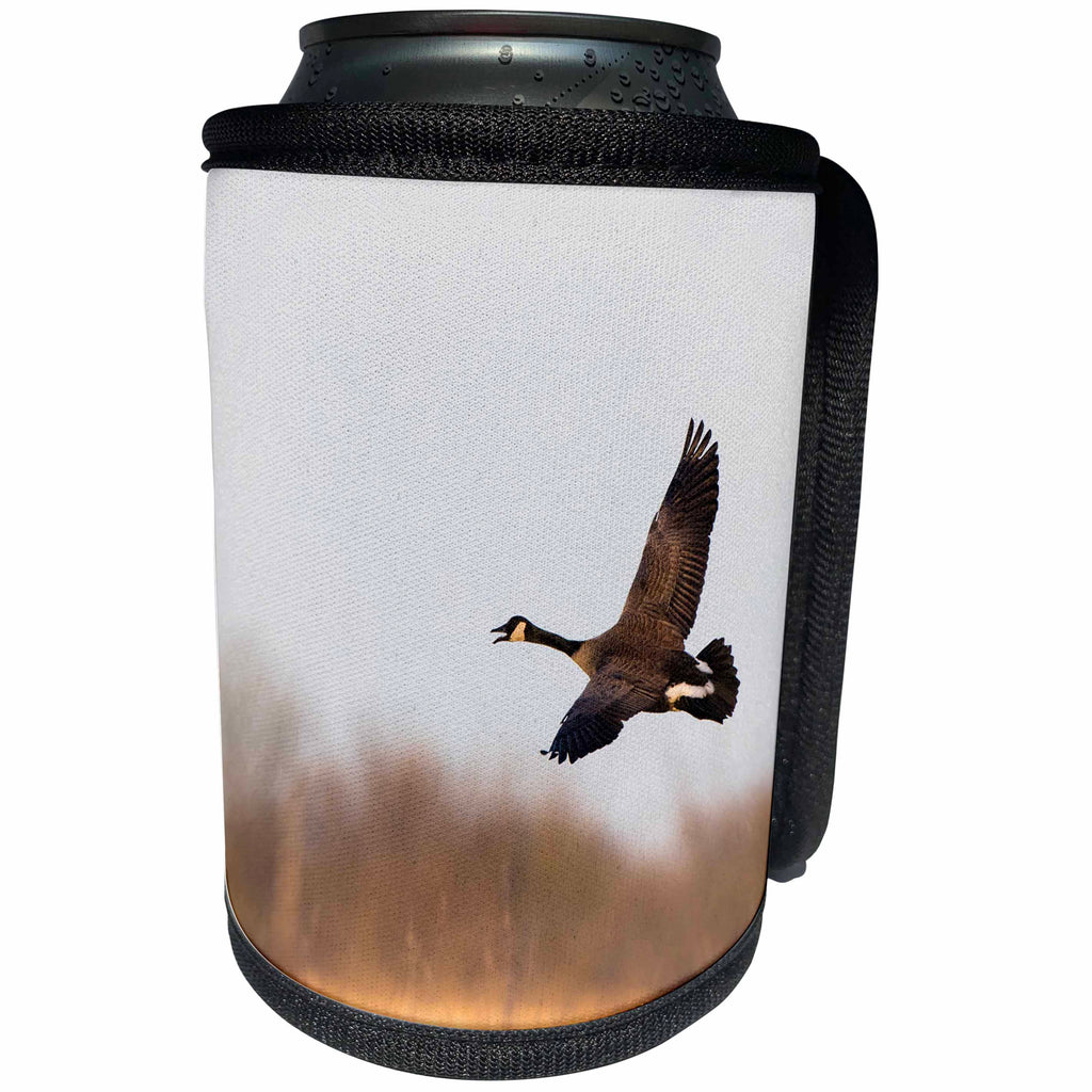 3dRose Danita Delimont - Birds - Canada Goose, Branta canadensis, in flight, Marion County, Illinois - Can Cooler Bottle Wrap (cc_259326)