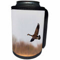 3dRose Danita Delimont - Birds - Canada Goose, Branta canadensis, in flight, Marion County, Illinois - Can Cooler Bottle Wrap (cc_259326)