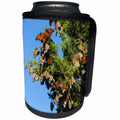 3dRose Danita Delimont - Butterflies - Monarch Butterflies roosting in Eastern Red Cedar, Illinois - Can Cooler Bottle Wrap (cc_259333)