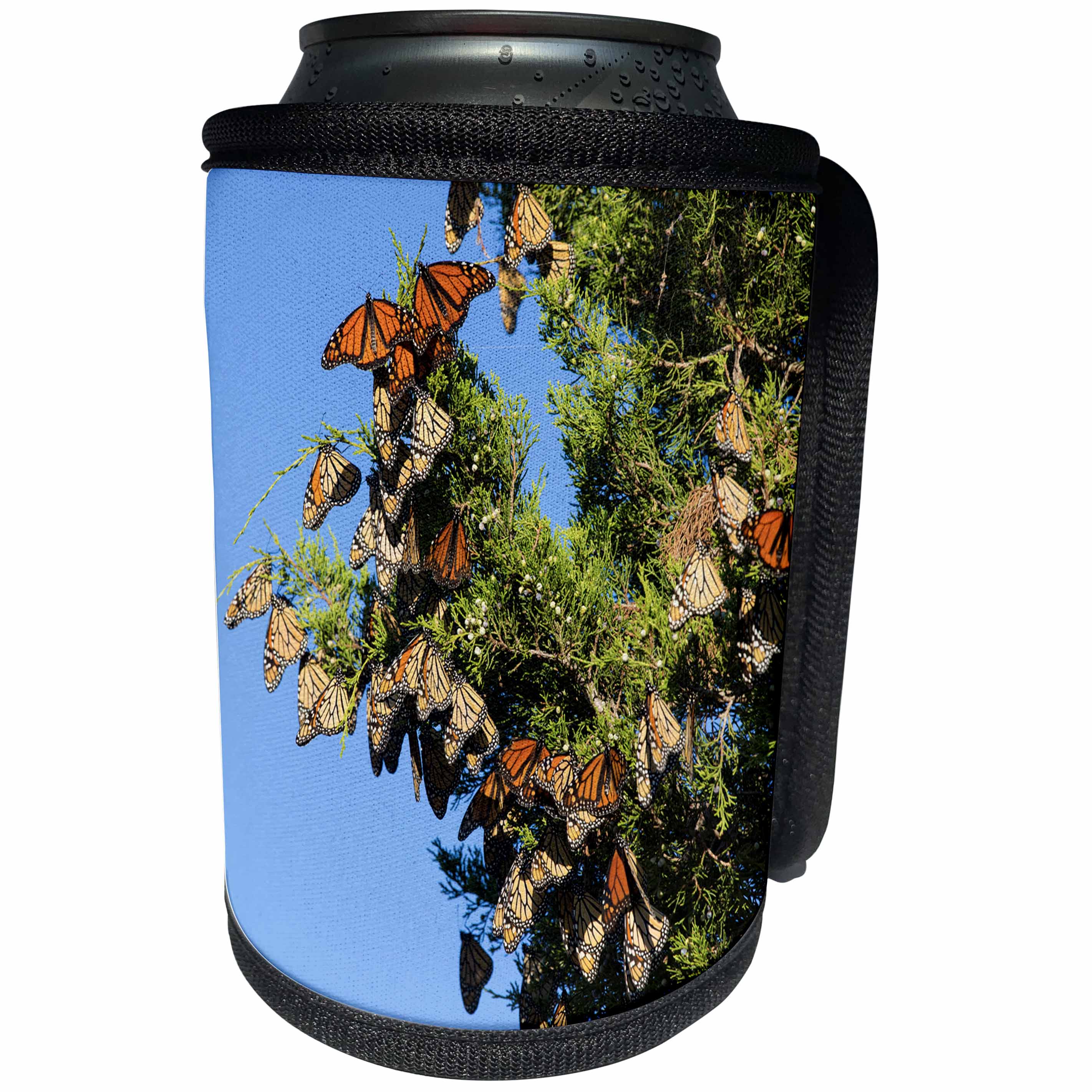 3dRose Danita Delimont - Butterflies - Monarch Butterflies roosting in Eastern Red Cedar, Illinois - Can Cooler Bottle Wrap (cc_259333)