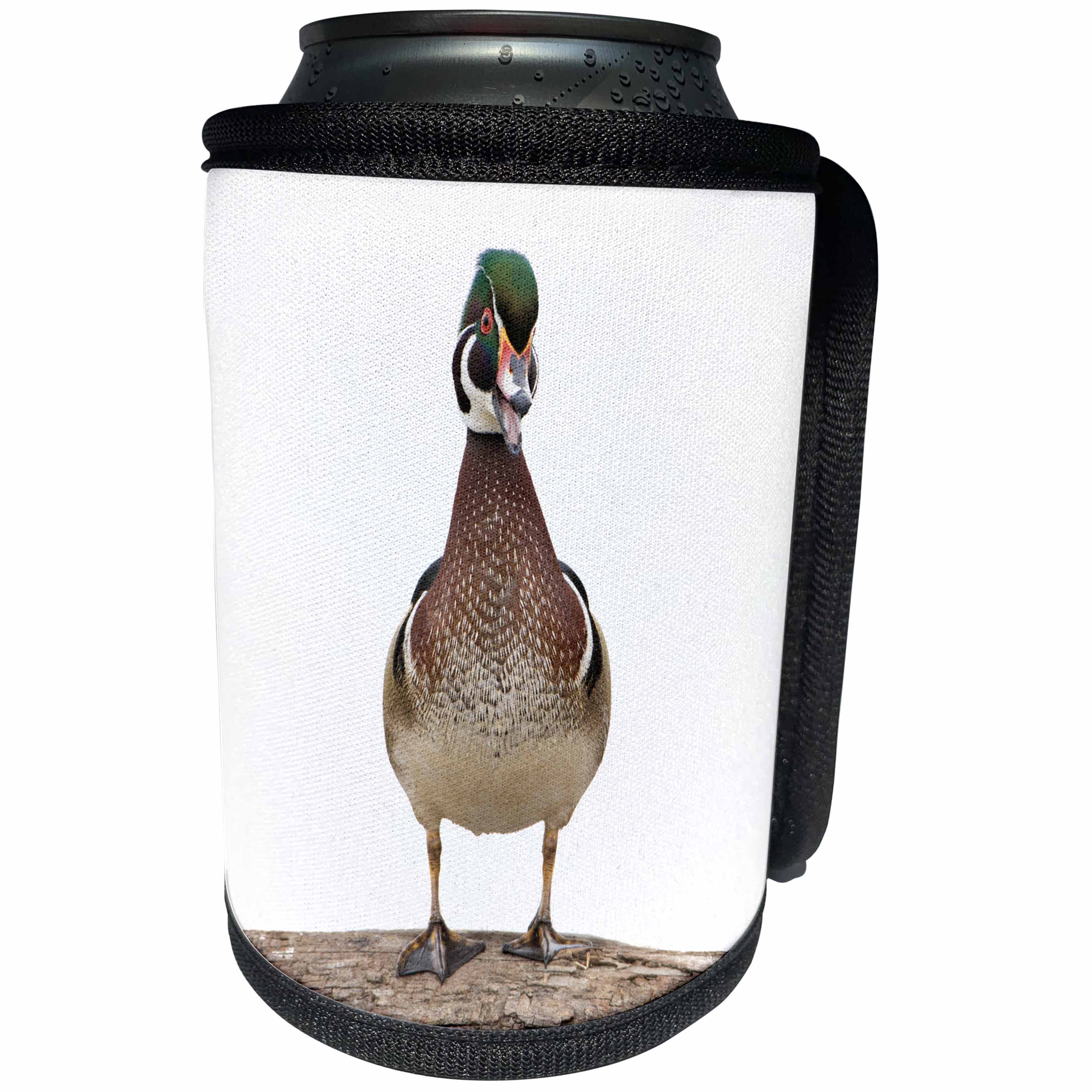 3dRose Danita Delimont - Ducks - Wood Duck male on white background, Marion County, Illinois - Can Cooler Bottle Wrap (cc_259334)
