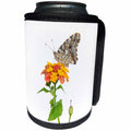 3dRose Danita Delimont - Butterflies - Painted Lady Butterfly on lantana, Marion County, Illinois - Can Cooler Bottle Wrap (cc_259337)