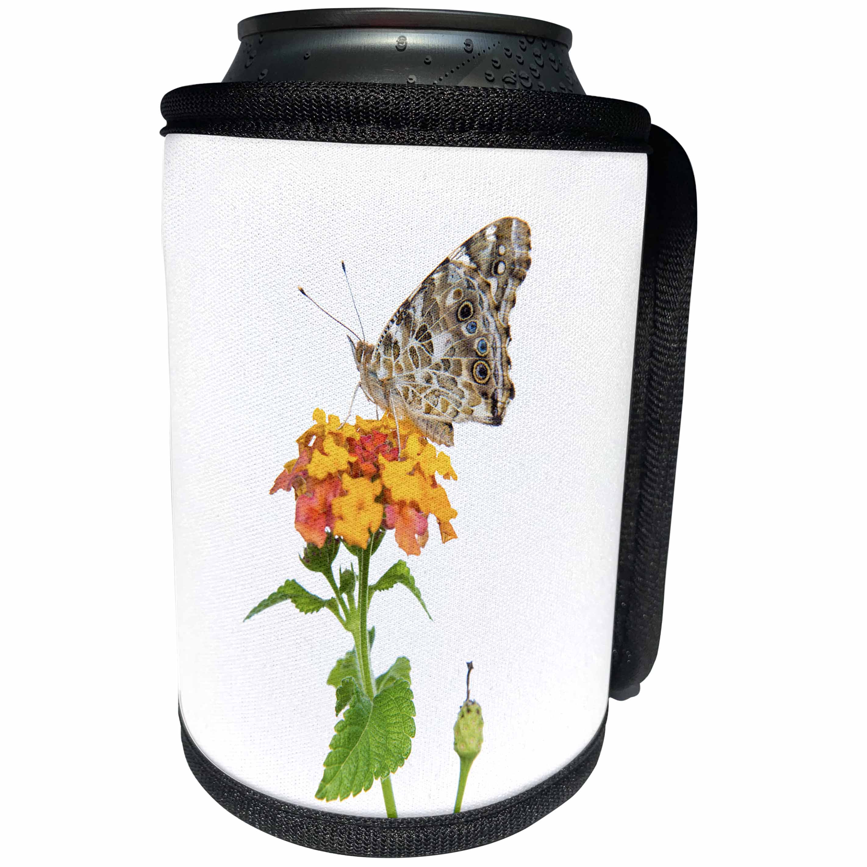 3dRose Danita Delimont - Butterflies - Painted Lady Butterfly on lantana, Marion County, Illinois - Can Cooler Bottle Wrap (cc_259337)