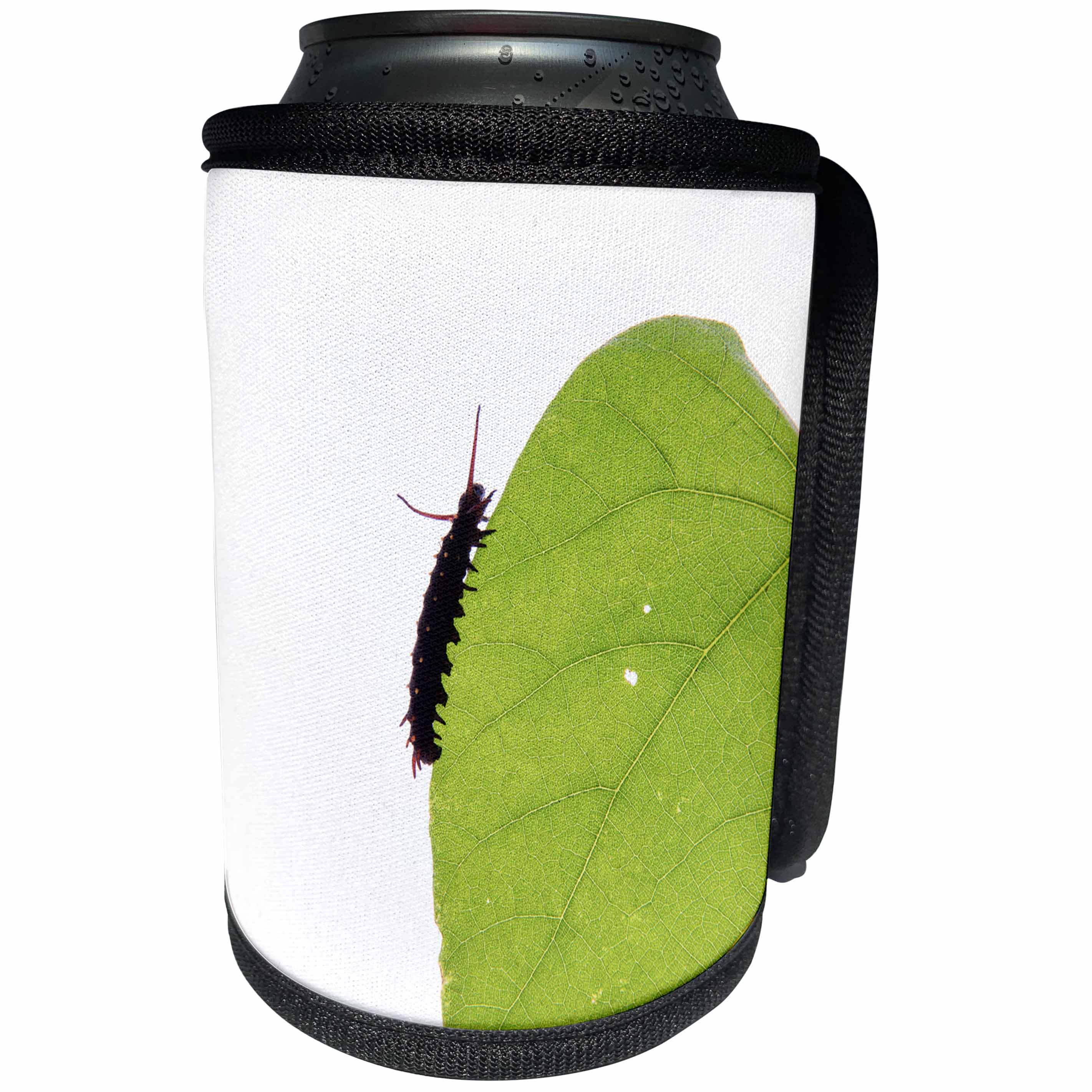 3dRose Danita Delimont - Insects - Pipevine Swallowtail Caterpillar eating a leaf, Marion Co, Illinois - Can Cooler Bottle Wrap (cc_259338)