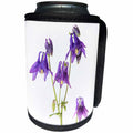 3dRose Danita Delimont - Flowers - Purple Columbine, Aquilegia, on white background, Marion Co., Illinois - Can Cooler Bottle Wrap (cc_259339)