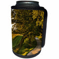 3dRose Danita Delimont - Roads - Rural road and fence at sunrise, Oldham County, Kentucky - Can Cooler Bottle Wrap (cc_259348)