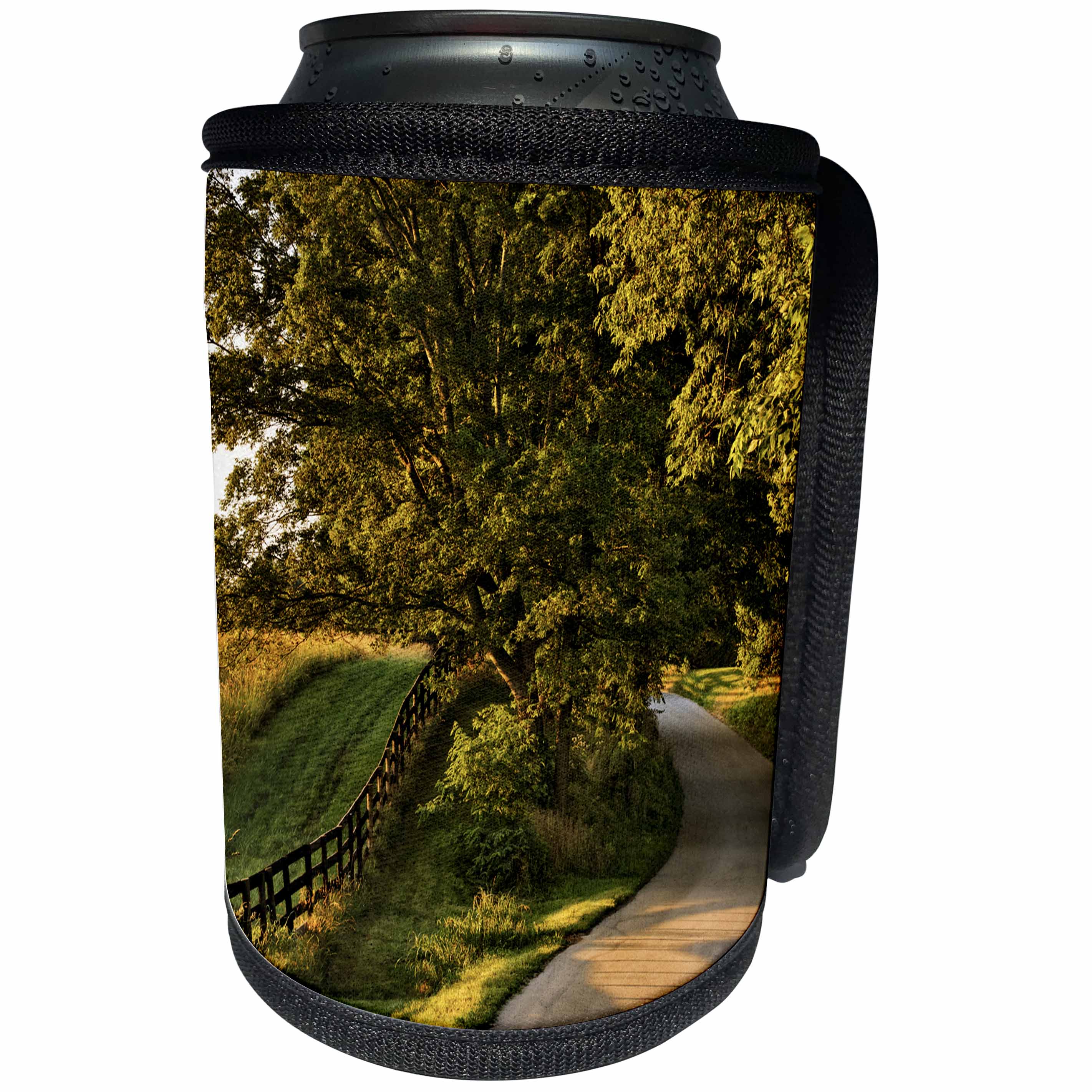 3dRose Danita Delimont - Roads - Rural road and fence at sunrise, Oldham County, Kentucky - Can Cooler Bottle Wrap (cc_259348)