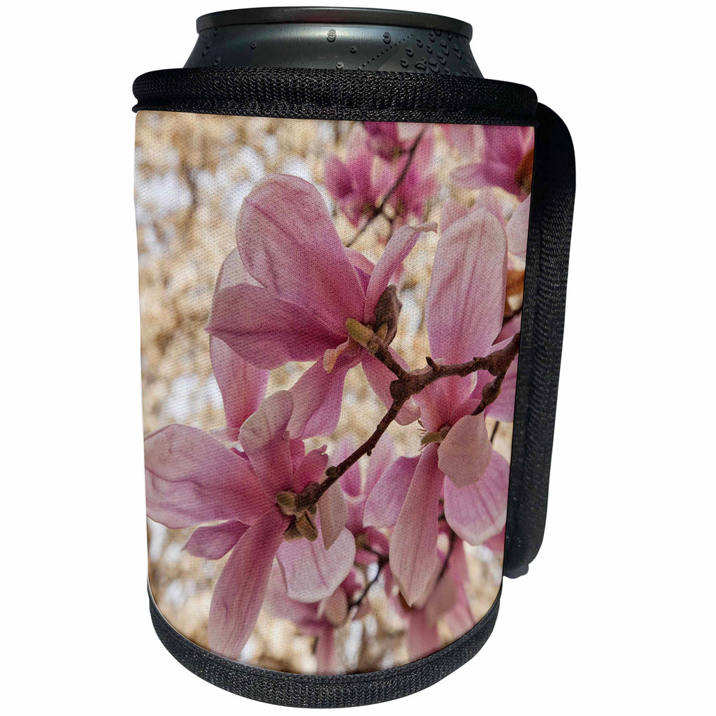 3dRose Danita Delimont - Flowers - Yulan Magnolia blossoms, Cave Hill Cemetery, Louisville, Kentucky - Can Cooler Bottle Wrap (cc_259356)