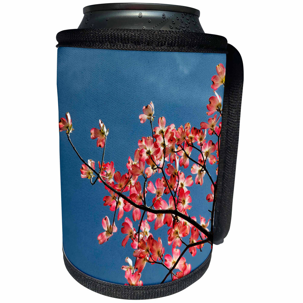 3dRose Danita Delimont - Flowers - Pink dogwood tree against blue sky, Lexington, Kentucky - Can Cooler Bottle Wrap (cc_259357)