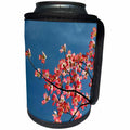 3dRose Danita Delimont - Flowers - Pink dogwood tree against blue sky, Lexington, Kentucky - Can Cooler Bottle Wrap (cc_259357)