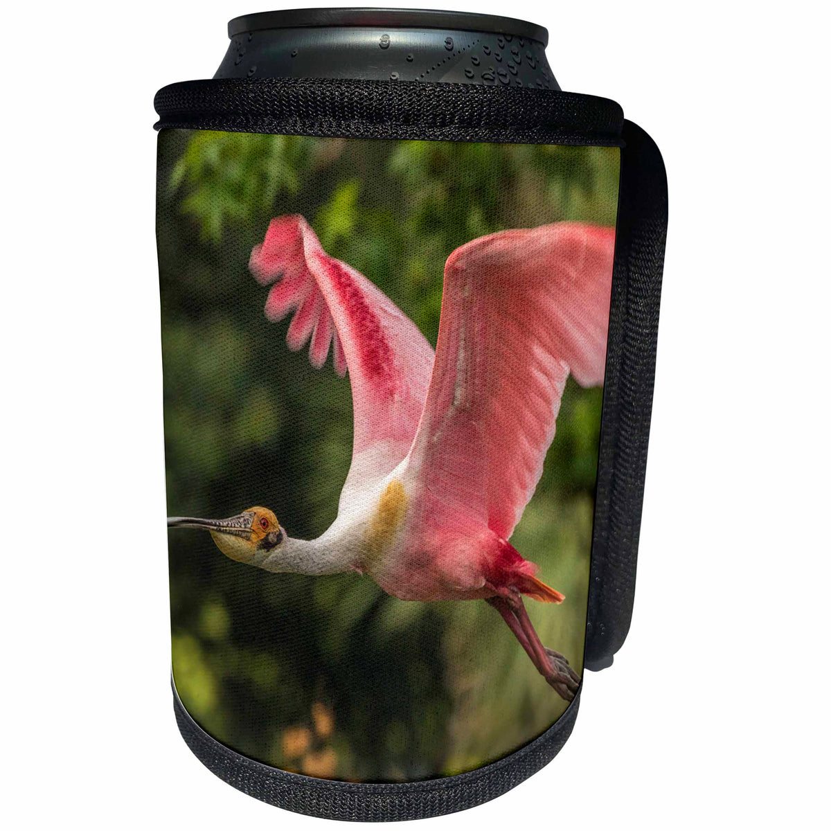 3dRose Danita Delimont - Birds - USA, Louisiana, Jefferson Island. Roseate spoonbill in flight. - Can Cooler Bottle Wrap (cc_259365)