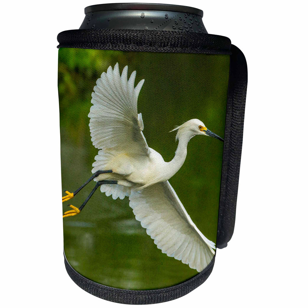 3dRose Danita Delimont - birds - USA, Louisiana, Jefferson Island. Snowy egret in flight over lake. - Can Cooler Bottle Wrap (cc_259371)