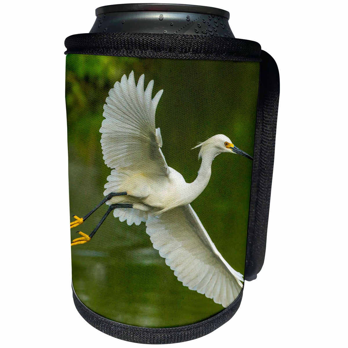 3dRose Danita Delimont - birds - USA, Louisiana, Jefferson Island. Snowy egret in flight over lake. - Can Cooler Bottle Wrap (cc_259371)