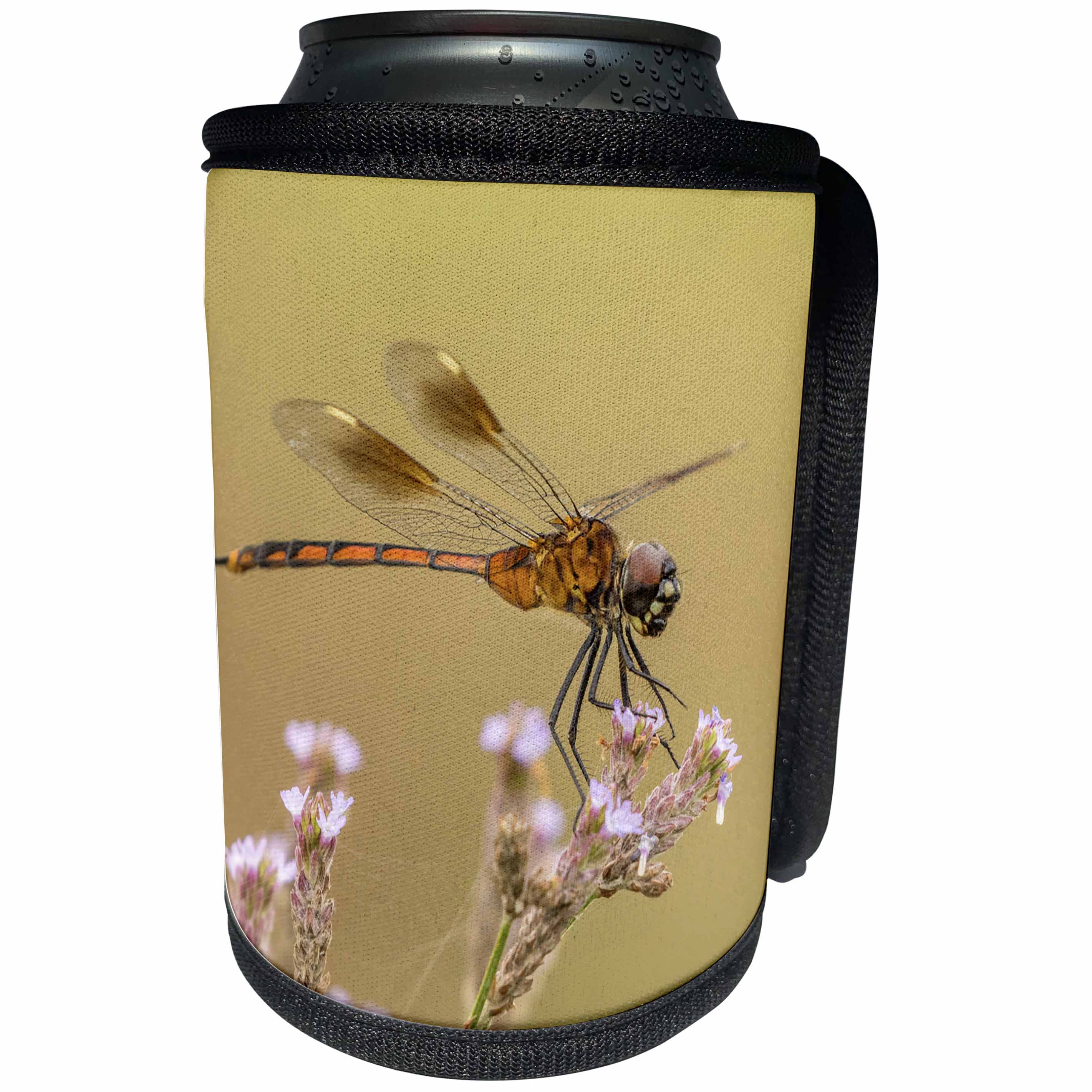 3dRose Danita Delimont - Insects - USA, Louisiana, Millers Lake. Dragonfly on flower. - Can Cooler Bottle Wrap (cc_259372)