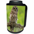 3dRose Danita Delimont - Owls - USA, Louisiana. Barred owl on tree limb. - Can Cooler Bottle Wrap (cc_259373)