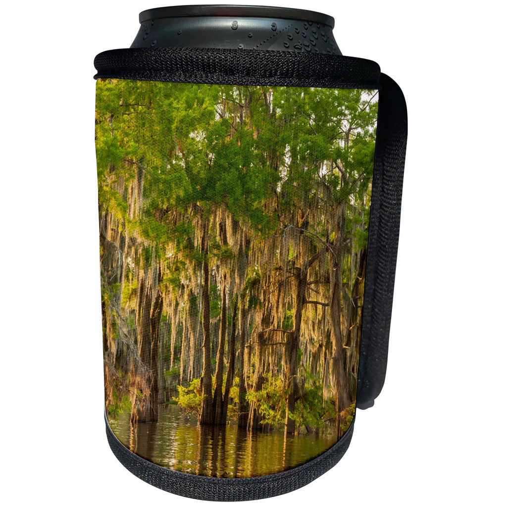 3dRose Danita Delimont - Trees - USA, Louisiana, Atchafalaya Basin. Cypress trees reflect in swamp. - Can Cooler Bottle Wrap (cc_259374)