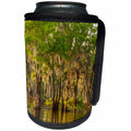 3dRose Danita Delimont - Trees - USA, Louisiana, Atchafalaya Basin. Cypress trees reflect in swamp. - Can Cooler Bottle Wrap (cc_259374)
