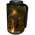 3dRose Danita Delimont - Trees - USA, Louisiana, Atchafalaya Basin. Sun shines through Cypress trees - Can Cooler Bottle Wrap (cc_259375)