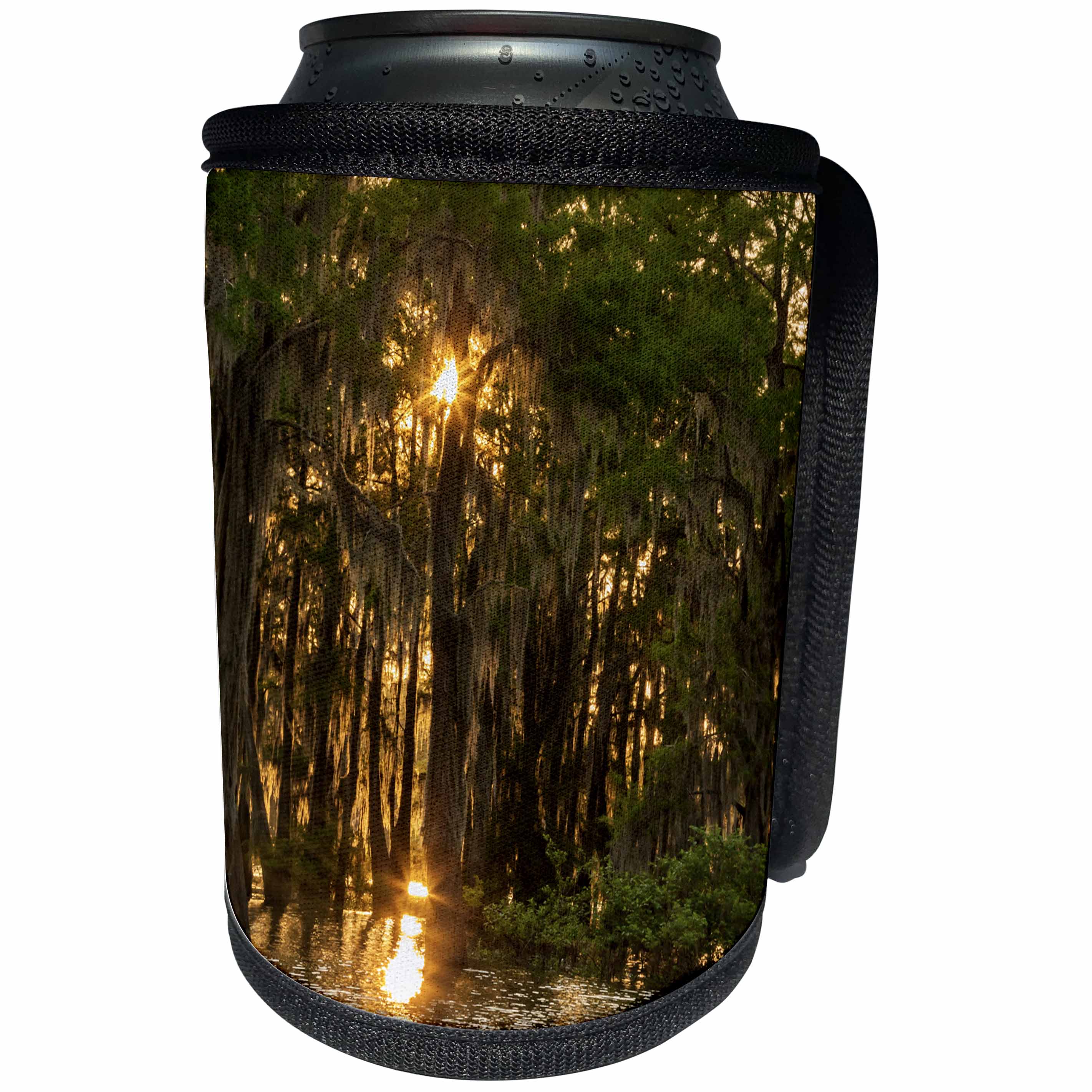 3dRose Danita Delimont - Trees - USA, Louisiana, Atchafalaya Basin. Sun shines through Cypress trees - Can Cooler Bottle Wrap (cc_259375)