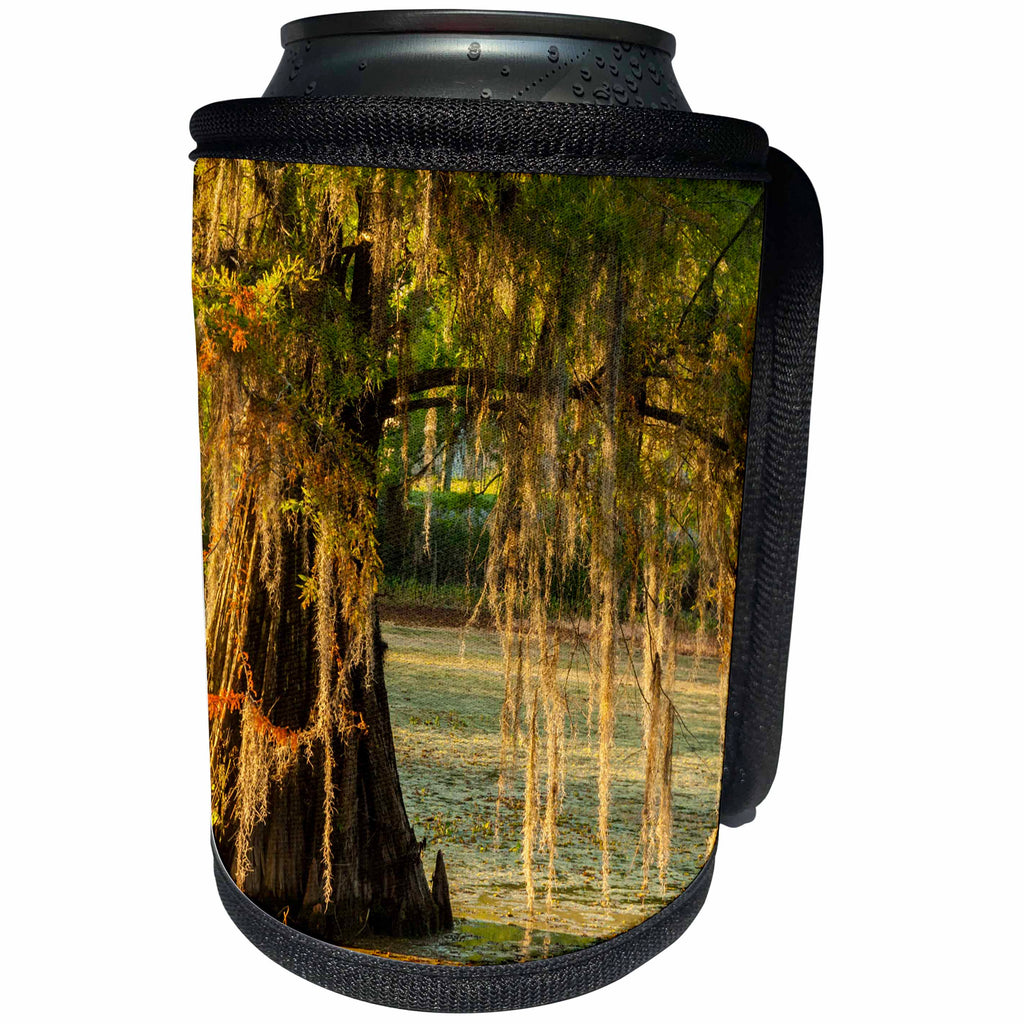 3dRose Danita Delimont - Trees - USA, Louisiana, Lake Martin. Cypress tree in swamp. - Can Cooler Bottle Wrap (cc_259376)