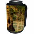 3dRose Danita Delimont - Trees - USA, Louisiana, Lake Martin. Cypress tree in swamp. - Can Cooler Bottle Wrap (cc_259376)