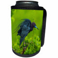 3dRose Danita Delimont - Birds - USA, Louisiana, Jefferson Island. Little blue heron on limb. - Can Cooler Bottle Wrap (cc_259378)