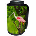 3dRose Danita Delimont - Birds - USA, Louisiana, Jefferson Island. Roseate spoonbill on limb. - Can Cooler Bottle Wrap (cc_259379)