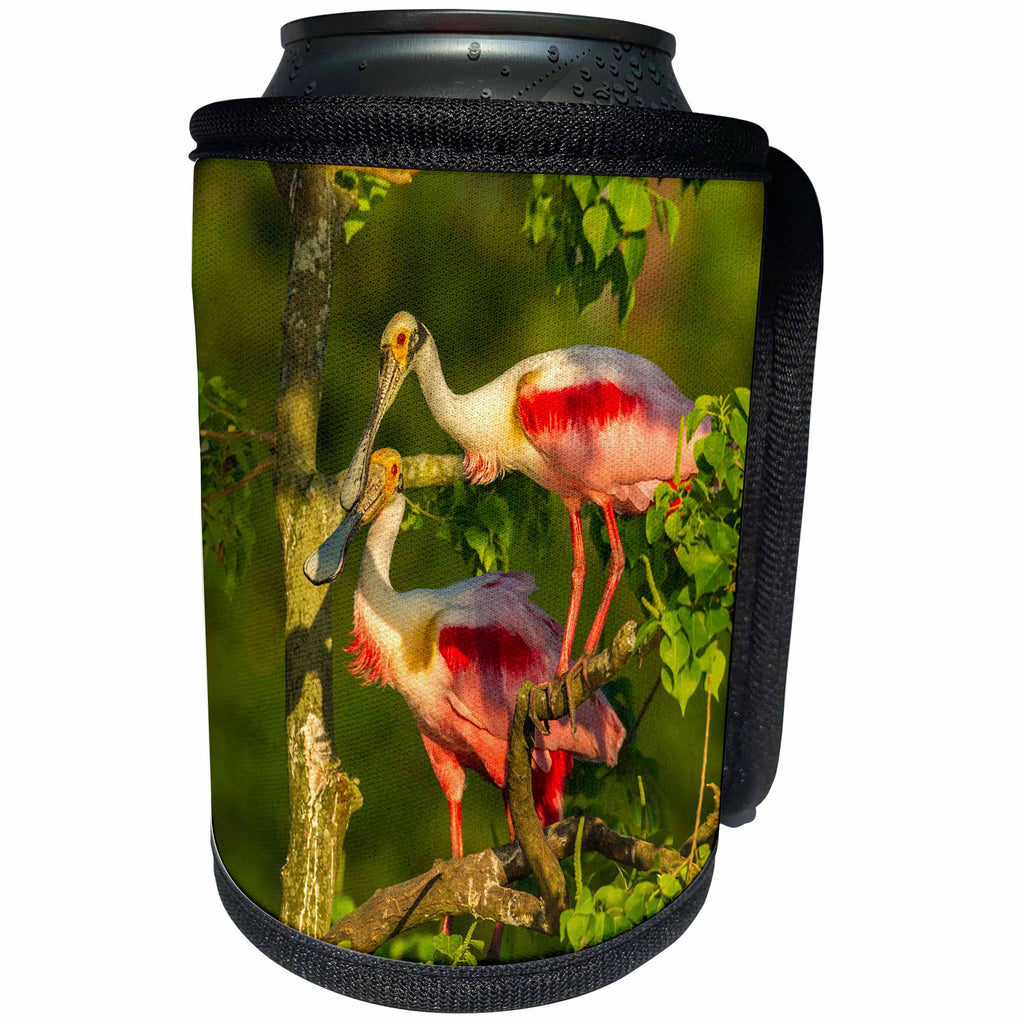 3dRose Danita Delimont - Birds - USA, Louisiana, Jefferson Island. Roseate spoonbill pair. - Can Cooler Bottle Wrap (cc_259380)