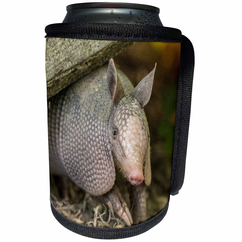 3dRose Danita Delimont - Armadillo - USA, Louisiana, Lake Martin. Young nine-banded armadillo. - Can Cooler Bottle Wrap (cc_259382)