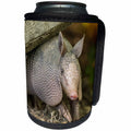 3dRose Danita Delimont - Armadillo - USA, Louisiana, Lake Martin. Young nine-banded armadillo. - Can Cooler Bottle Wrap (cc_259382)